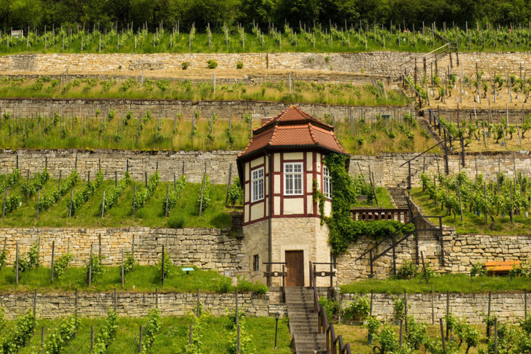 MerseburgTourist e.V. Tourismusverein Domstadt Merseburg